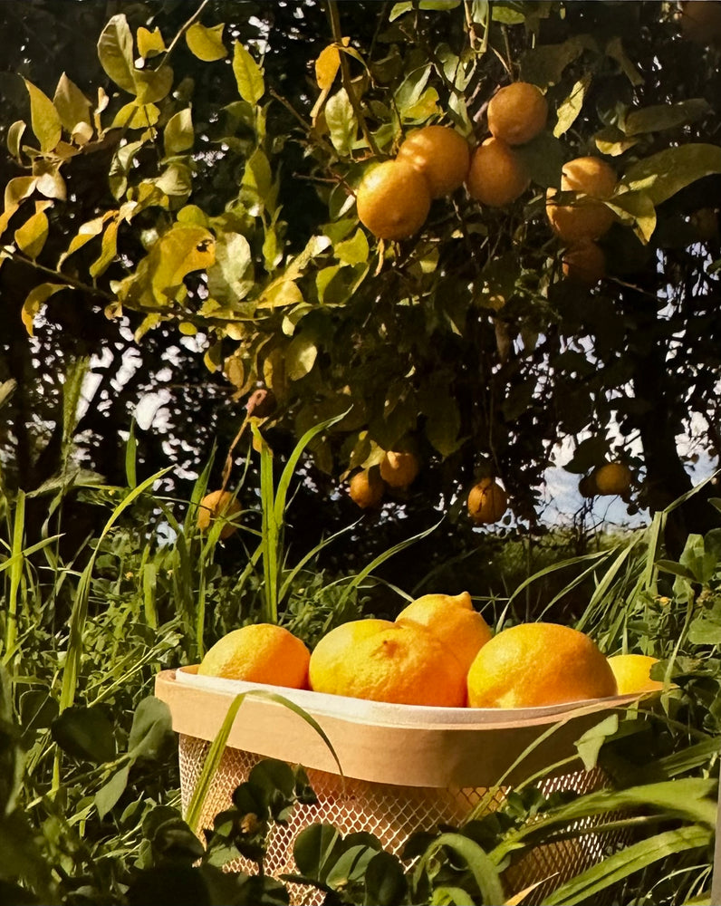 Collections – Niche Fruits